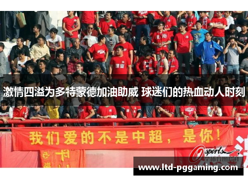 激情四溢为多特蒙德加油助威 球迷们的热血动人时刻